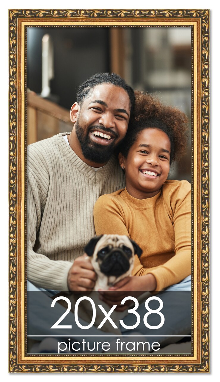 20x38 Museum-Quality Picture Frame with UV-Resistant Acrylic & Acid-Free Backing, Available in 4 Finishes - Gold, Silver, Bronze, and Black